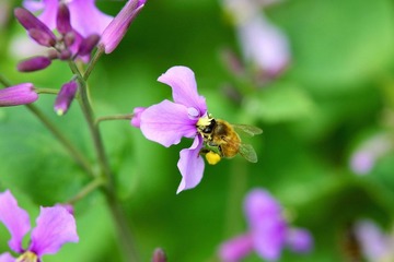 IMG_8411.jpg