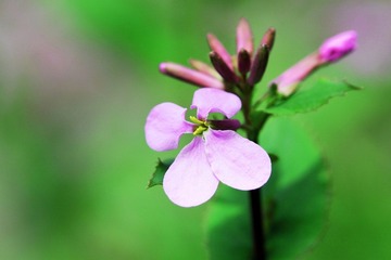 IMG_8454.jpg