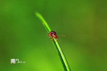 IMG_3056.jpg
