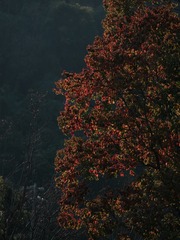 1001412659