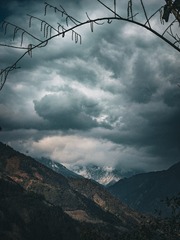 1000703378