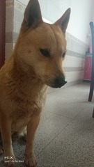 1560209