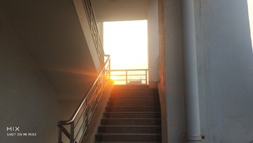 1616272
