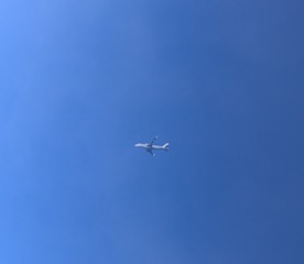 84282