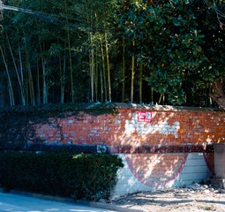 538083