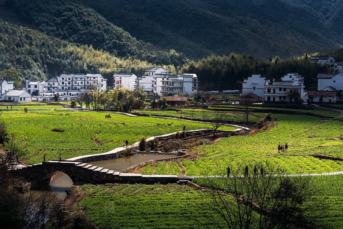 美丽新农村--山塘