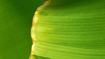 27276F7D-77B3-4FA1-B190-629E09D9F003/L0/001