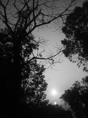 8A478215-E724-4E3D-B8F7-3D2D68526736/L0/001