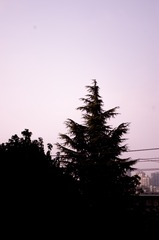115065