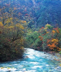 东拉山风光.jpg