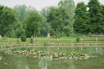 D1186F7E-59F4-4C2C-AC0E-6C0A7769EF2C/L0/001