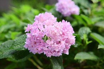 723158AE-E7C1-4B87-9263-1253544AC282/L0/001