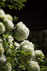 4F04343C-1643-4C23-96B3-20AD68487CF9/L0/001