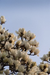 D0256749-DD52-4FEB-9CFF-50F62F71C935/L0/001