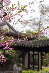 1F0EC0A4-3200-47C0-9D79-D0C149000501/L0/001