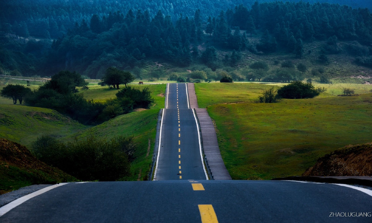 仙女山草原风光