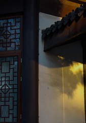 93695D35-D209-47B9-80A0-7C66A30C9BE2/L0/001