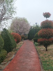 1654732