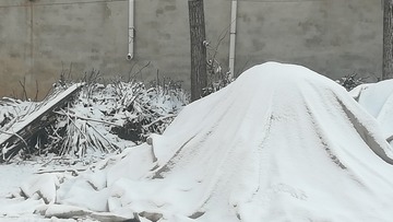 1615841