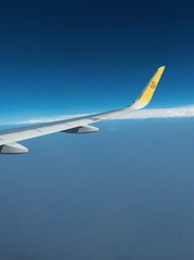 A4F69D29-6379-4C0A-A1E8-4812E1EC9CCA/L0/001
