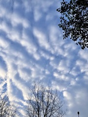 F2082983-88D4-4170-96F5-071EF7638BD6/L0/001
