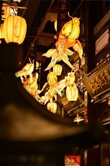 6F914DD5-D742-411B-BFD2-A11CAD0D9AFE/L0/001