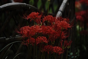 6156DE27-AB03-48EC-8520-C380F1EC33C5/L0/001