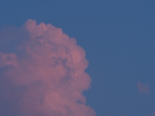21F398A2-8F1F-4E72-8A42-336712B58CF3/L0/001