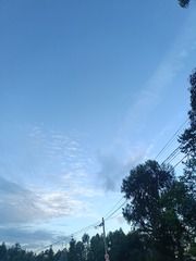 1000003545
