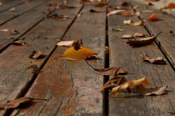 B3B60941-6E1E-4A80-885F-59AA58F9DB68/L0/001