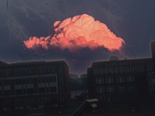 1010349