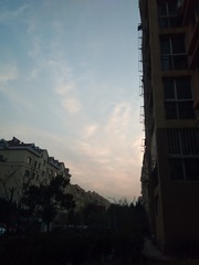 1010343