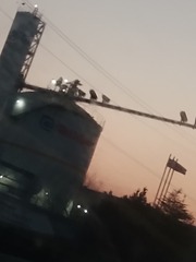 1010259