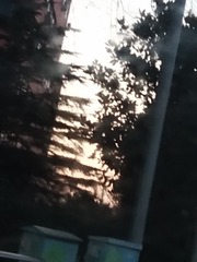 1010242