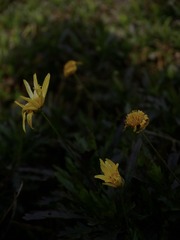 BC0D659B-2A68-49D1-9726-2A7E7EBEA50A/L0/001