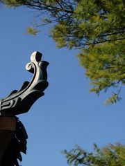 200956