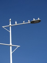 200950