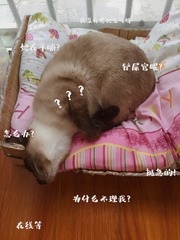 7A471113-8980-443E-BF2E-59CAE16AD7F8/L0/001