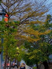 F708B8C7-FA38-4DC8-A35B-D6E4DDC8C803/L0/001
