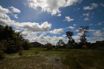 DPP_0011.JPG