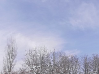 614096
