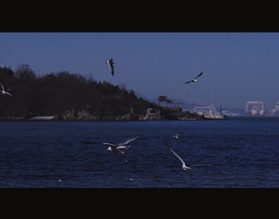 1667191E-9B09-4D44-91B3-780133D7074B/L0/001