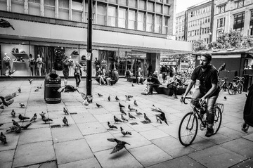 bw-00071.jpg