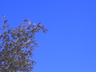 726FD1EC-2D2E-4DEC-A75F-4A156F662965/L0/001