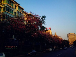 DSC02638_副本.jpeg