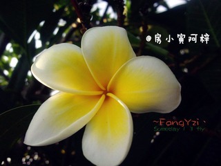 DSC02919_副本.jpg