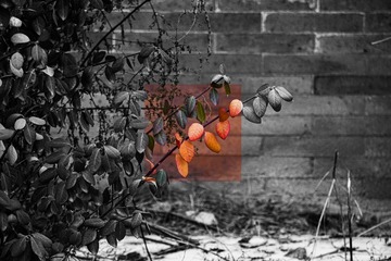 349F0817-81E3-4B7F-8B2E-A2FDD97EFCEC/L0/001
