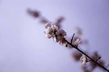 11448F17-0932-499E-86A8-158588BD4F0B/L0/001