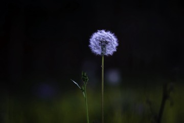 68F40C87-94FE-4CF1-B715-4D9542A76488/L0/001