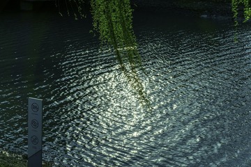 0D58083F-4E5E-4006-997A-B24125F2FFD7/L0/001